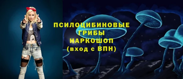 МДПВ Арсеньев