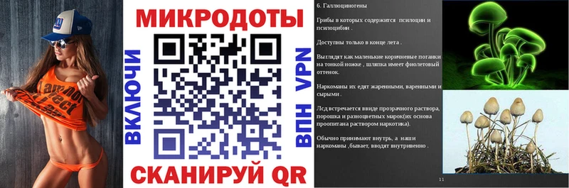 где найти   Сокол  Псилоцибиновые грибы ЛСД 